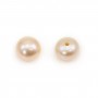 Freshwater cultured pearls, semi-perforated, salmon, button, 5-5.5mm x 4pcs
