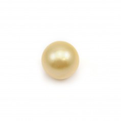 South Sea Pearl, champagne, round, 9-10mm x 1pc