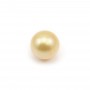 South Sea pearl, gold, round, 9.5-10mm x 1pc