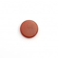 Agata rossa cabochon, rotonda piatta 10 mm x 2 pezzi