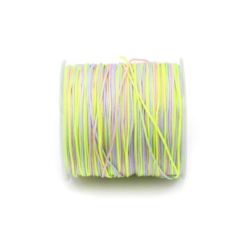 Fil polyester multicolore ton pastel 0.8 mm x 100m