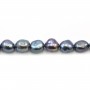 Perles de culture d'eau douce, bleue foncée, baroque, 9-10mm x 2pcs