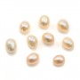 Perles de culture d'eau douce, semi-percée, saumon, ovale, 4-4.5mm x 2pcs