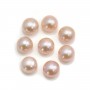 Perles de culture d'eau douce, semi-percée, mauve, bouton, 6.5-7mm x 4pcs