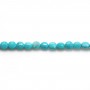 Turquoise reconstituted in the shape of round faceted, 4mm x 40cm