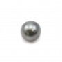 Perle de culture de Tahiti, ronde 8-14 mm x 1pc