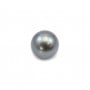 Perle de culture de Tahiti, ronde 8-14 mm x 1pc
