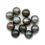 Tahitian cultured pearl, round, 11-12mm, D x 1pc
