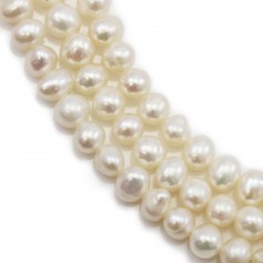 Perles de culture d'eau douce, blanche, ovale, 4.5-5mm x 36cm