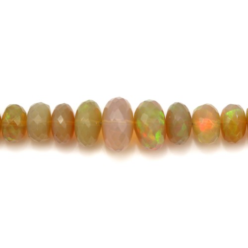 Opale, en forme de rondelle facetté, dégradé de tailles x 40cm