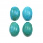 Cabochon Turquoise Ovale 10x14mm x1pc