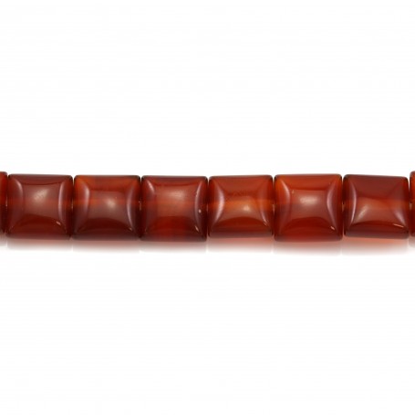 Red agate clover 16mm x 40cm