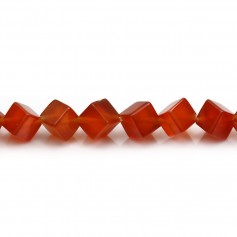 Red agate cube 6mm x 10pcs