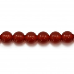 Agata, rossa, rotonda, 8 mm x 40 cm