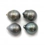 Perles de culture de Tahiti, semi-ronde, 14-15mm x 4pcs