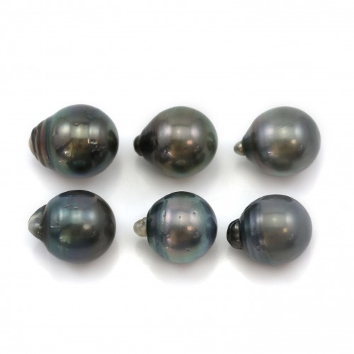 Tahitian pearl half round 12.5*13.5mm x 6pcs