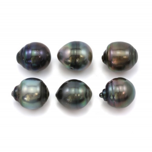 Perla cultivada de Tahití, semirredonda, 12.5x13.5mm x 6pcs