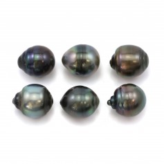 Tahitian cultured pearl, in half-round shaped 12.5x13.5mm x 6pcs