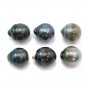 Tahitian pearl half round 12.5x13.5mm x 6pcs