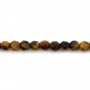 Yellow Tiger Eye Faceted Round 4mm x 40cm
