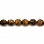 Yellow Tiger Eye Faceted Round 14mm x 40cm
