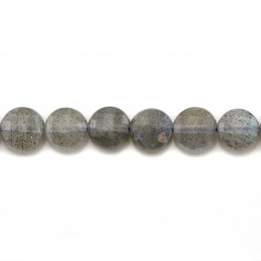 Labradorite, de forme ronde plate facetté, 6mm x 6pcs