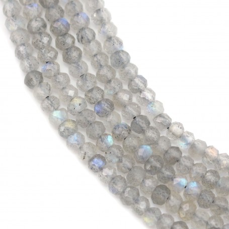 Labradorite faceted flatened round beads on thread 2x4mm x 40cm