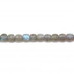 Labradorite in the shape of a faceted cube 5mm, x 6pcs