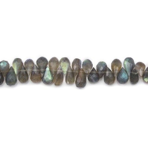 Gray Labradorite, in the shape of a faceted briolette, 5.5 * 8.5mm x 40cm