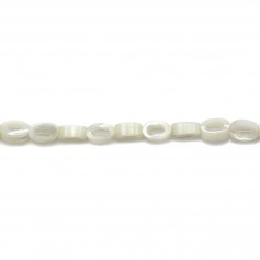 White mother of pearl in oval hollow bead strand 4x6mm x 40cm