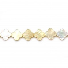 Yellow mother of pearl clover shape 13mm x 2pcs