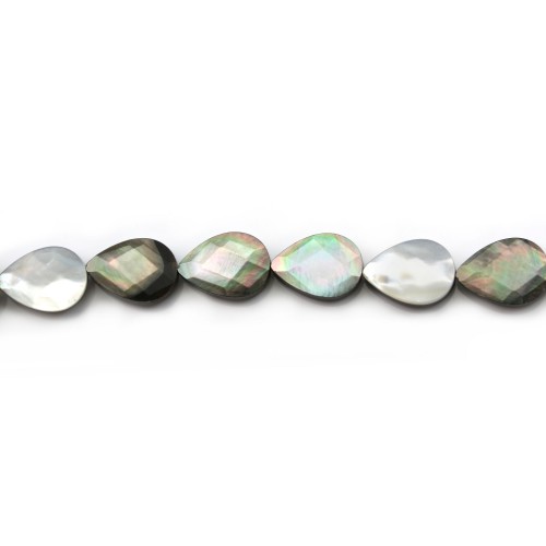 gray shell with Faceted Flatted Teardrop 10*14mm X 4 pcs