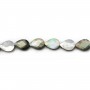 Mother of pearl Flat faceted drop 10x14mmX40cm