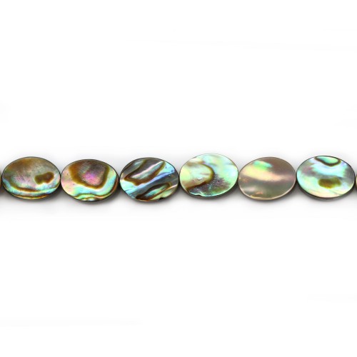 Abalone madreperla ovale 6x8 mm x 2 pezzi