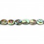 Abalone mother-of-pearl oval beads on thread 6x8mm x 40cm