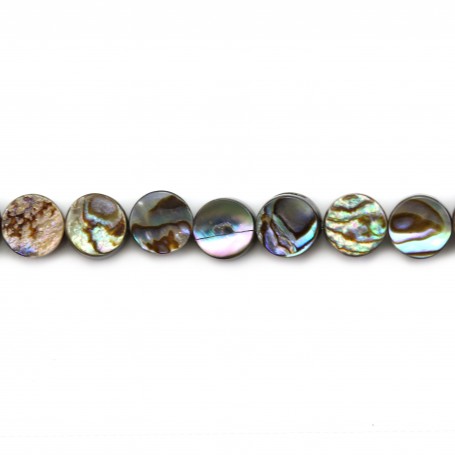 Abalone mother-of-pearl flat round beads 6mm x 10pcs