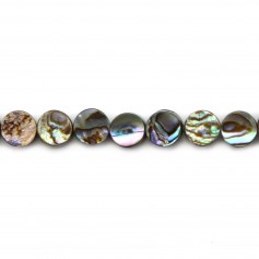 Abalone mother-of-pearl flat round beads 6mm x 10pcs
