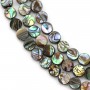 Abalone mother-of-pearl flat round beads on thread 6mm x 40cm