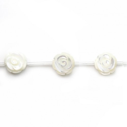 Rosa blanca de nácar en alambre 12mm x 40cm (15pcs)