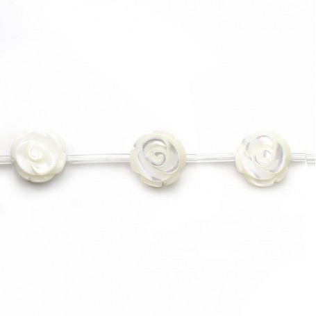 Nacre blanche en forme de rose sur fil 12mm x 40cm