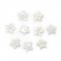 White mother-of-pearl 5 petal flower 8mm x 1pc