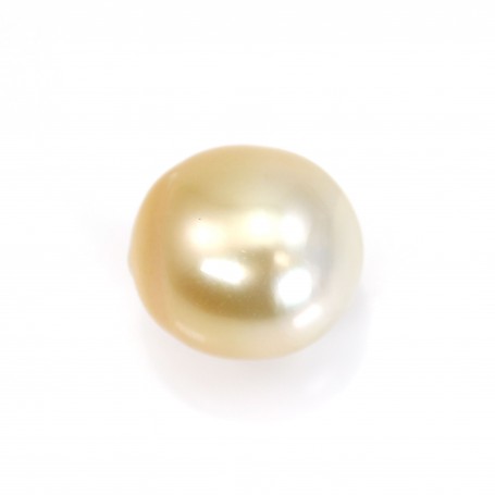 Perla dei mari del sud, champagne, oliva/ovale 12,5-13 mm x 1 pezzo