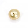 Perle des mers du Sud, champagne, olive/ovale 12.5-13mm x 1pc