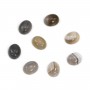 Botswana agate cabochon, in oval shaped, 4 * 6mm x 4 pcs