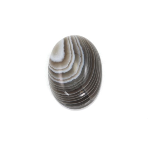 Cabochon de ágata do Botswana, forma oval, 13x18mm x 1pc