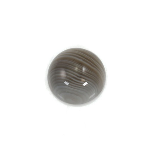 Cabochon agate du boswana, de forme ronde, 10mm x 4pcs