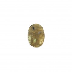 Cabochon Labradorite ovale plat 10x14mm x 1pc