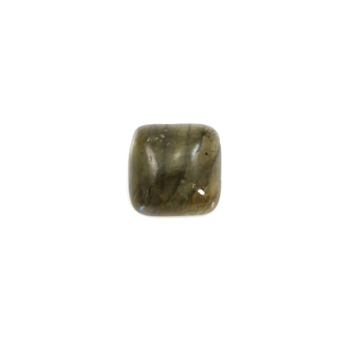 Labradorit-Cabochon, quadratische Form 10mm x 1pc