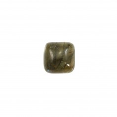 Cabochon labradorite, square shape, 10mm x 1pc
