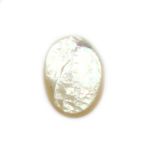 Oval cabochon 15x20mm White Mother-of-Pearl x1pc